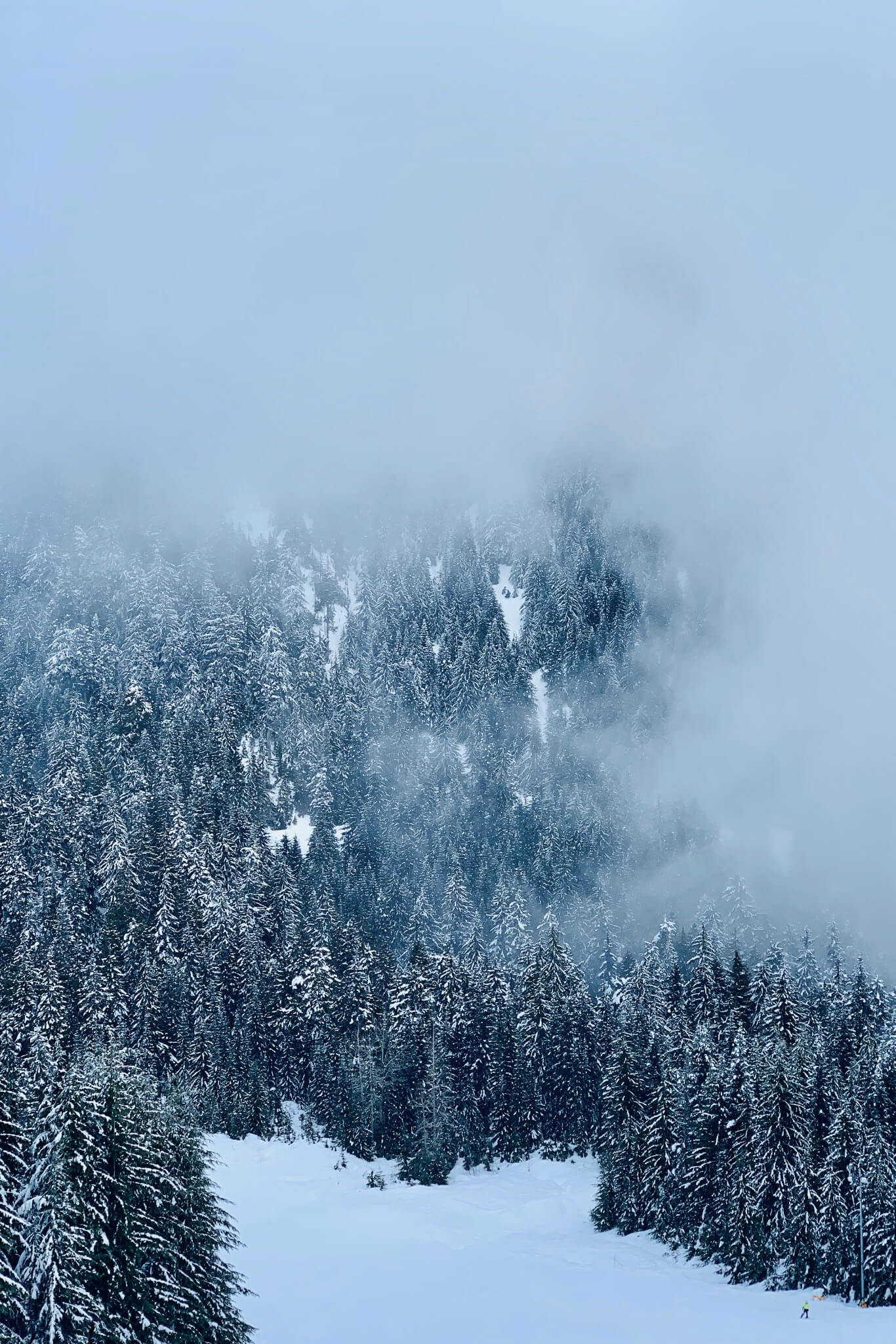 Grouse Mountain, 2020 年 2 月 22 日。iPhone XS。