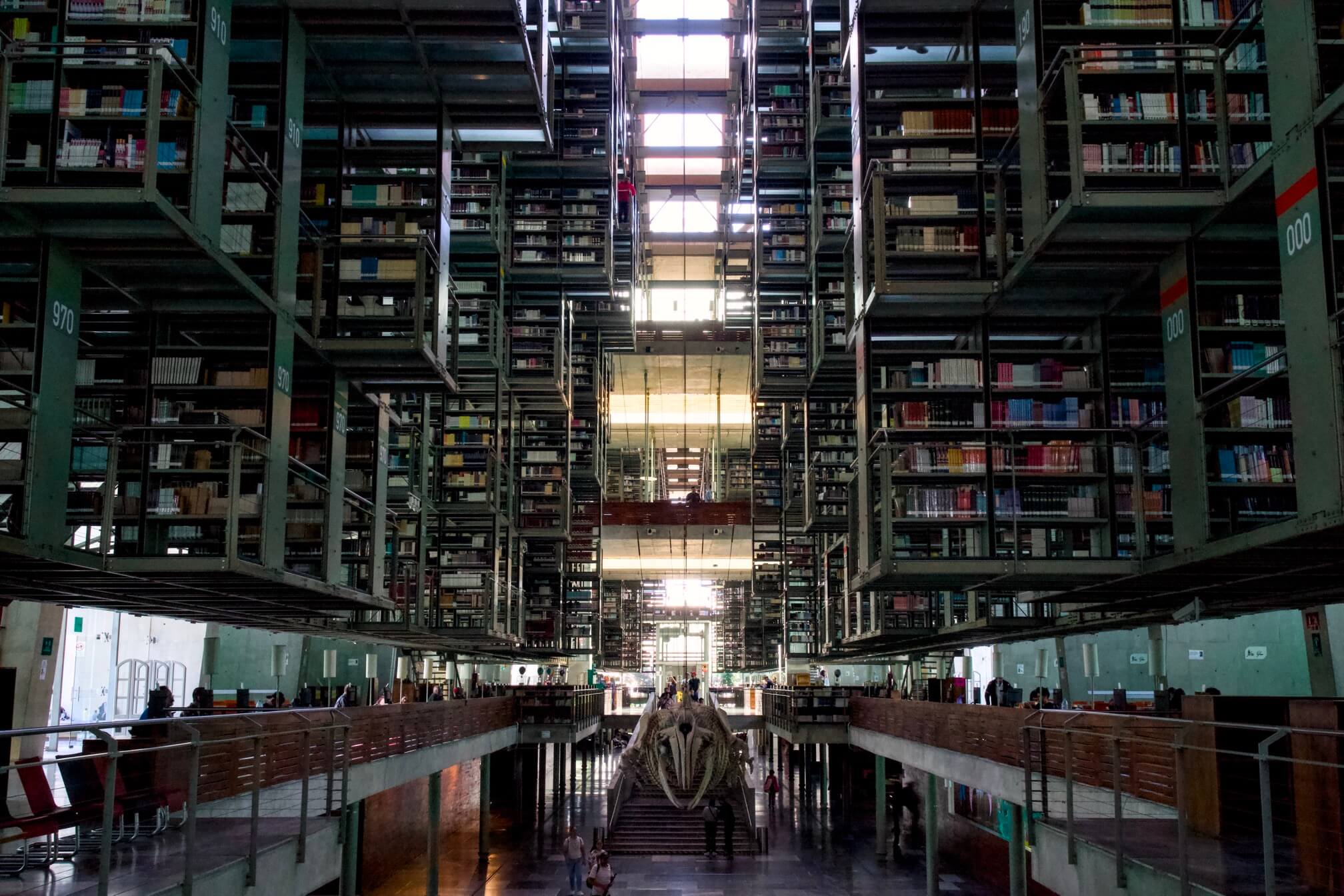 图书馆内景，中间也有一副鲸鱼骨架，但比 UBC 生物多样性博物馆的那一副小很多。