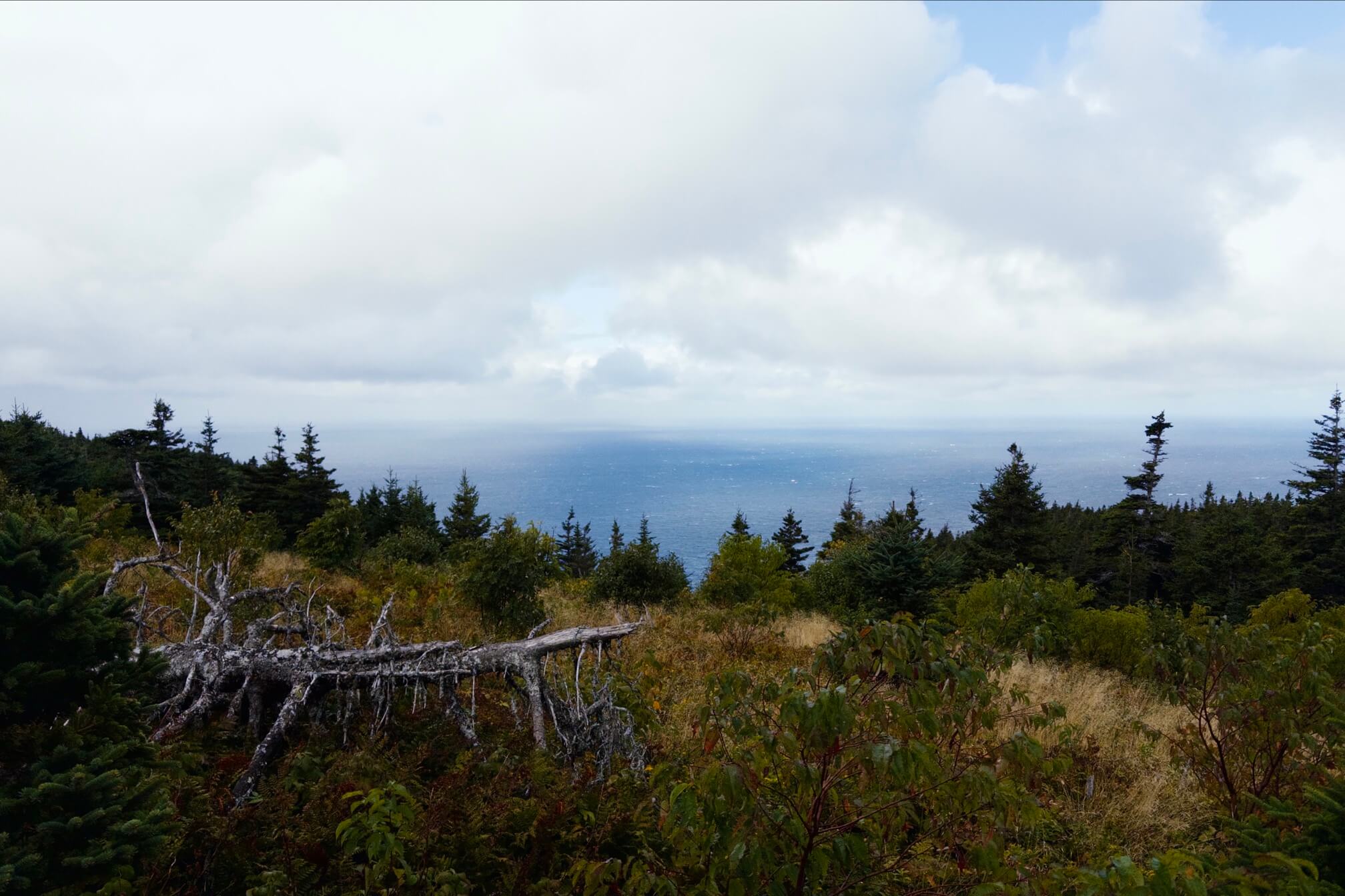 Cape Breton National Park 的著名线路 Skyline Trail。一路走下来两个多小时，偶尔还在下雨，可以从各种光线条件下欣赏到一望无际的北大西洋景色。