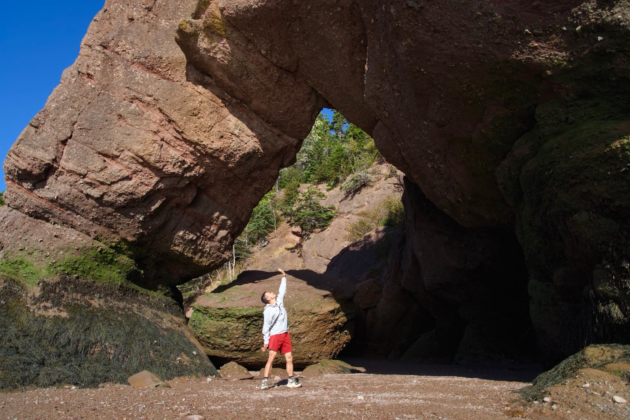 Hopewell Rocks 省公园——这里有最大的潮汐落差，还有因此形成的独特地貌。这张照片是早上十点钟左右，是一天中的最低潮。