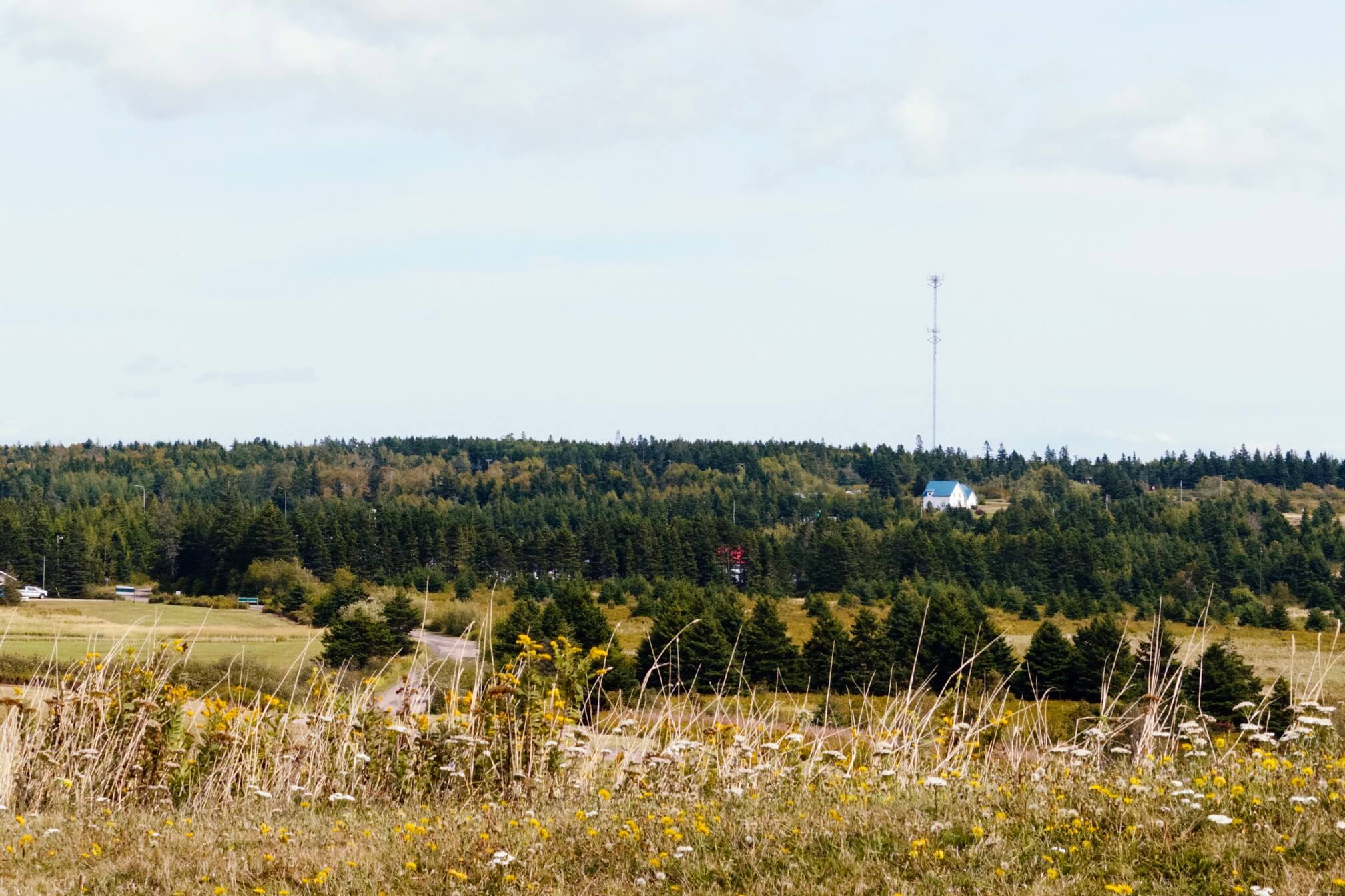 不知名的中途点——从植被的颜色已经能看出来是秋天的样子了。