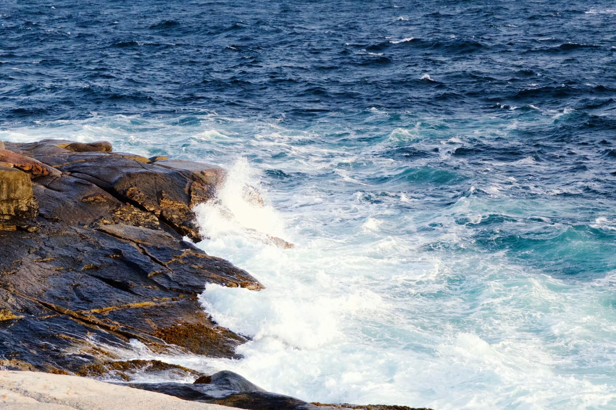 Peggy’s Cove 风很大。海水是非常漂亮的深蓝色。