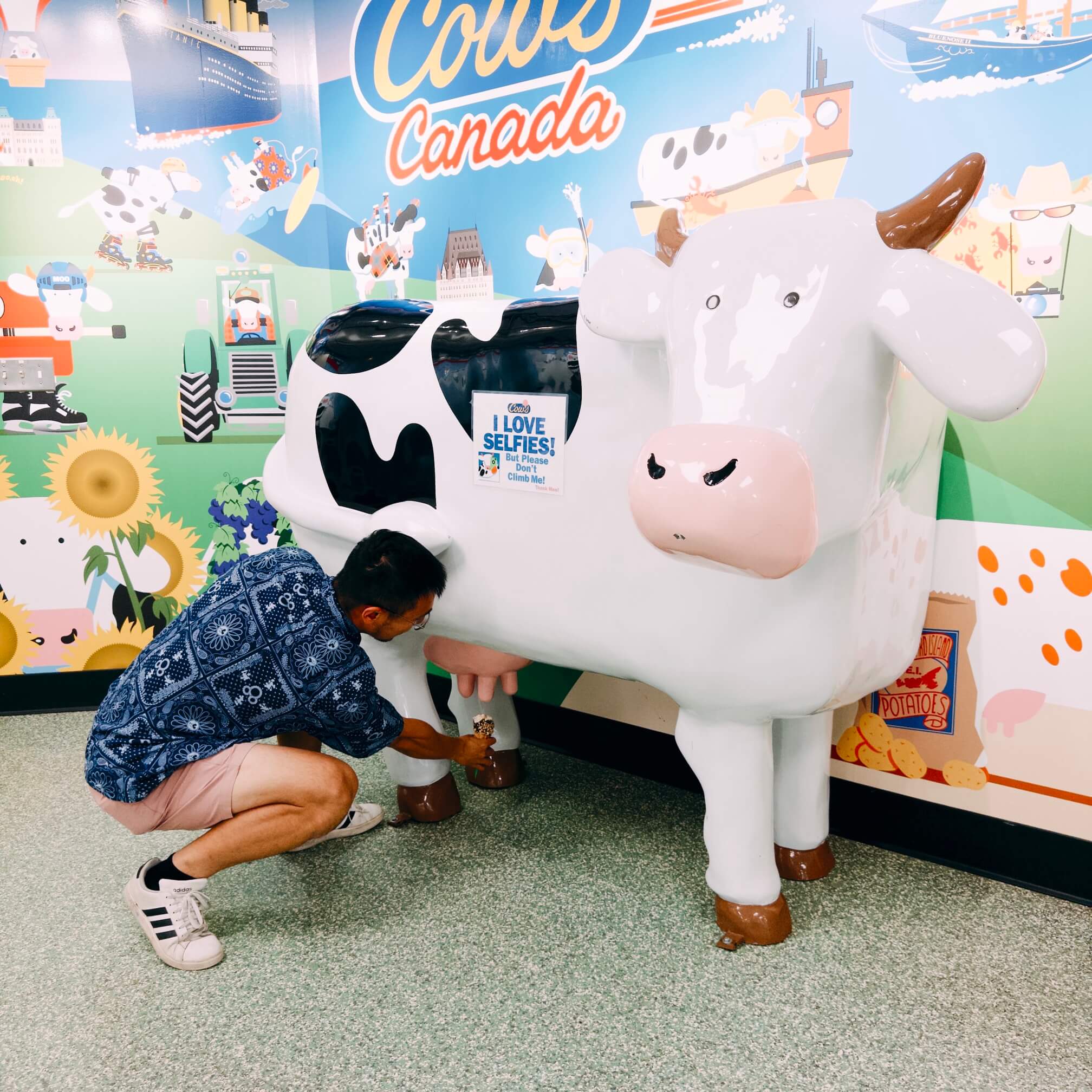 COWS Creamery 晚上六七点钟已经快歇业了，但依然可以买到冰激凌并逛逛他们的小展厅。