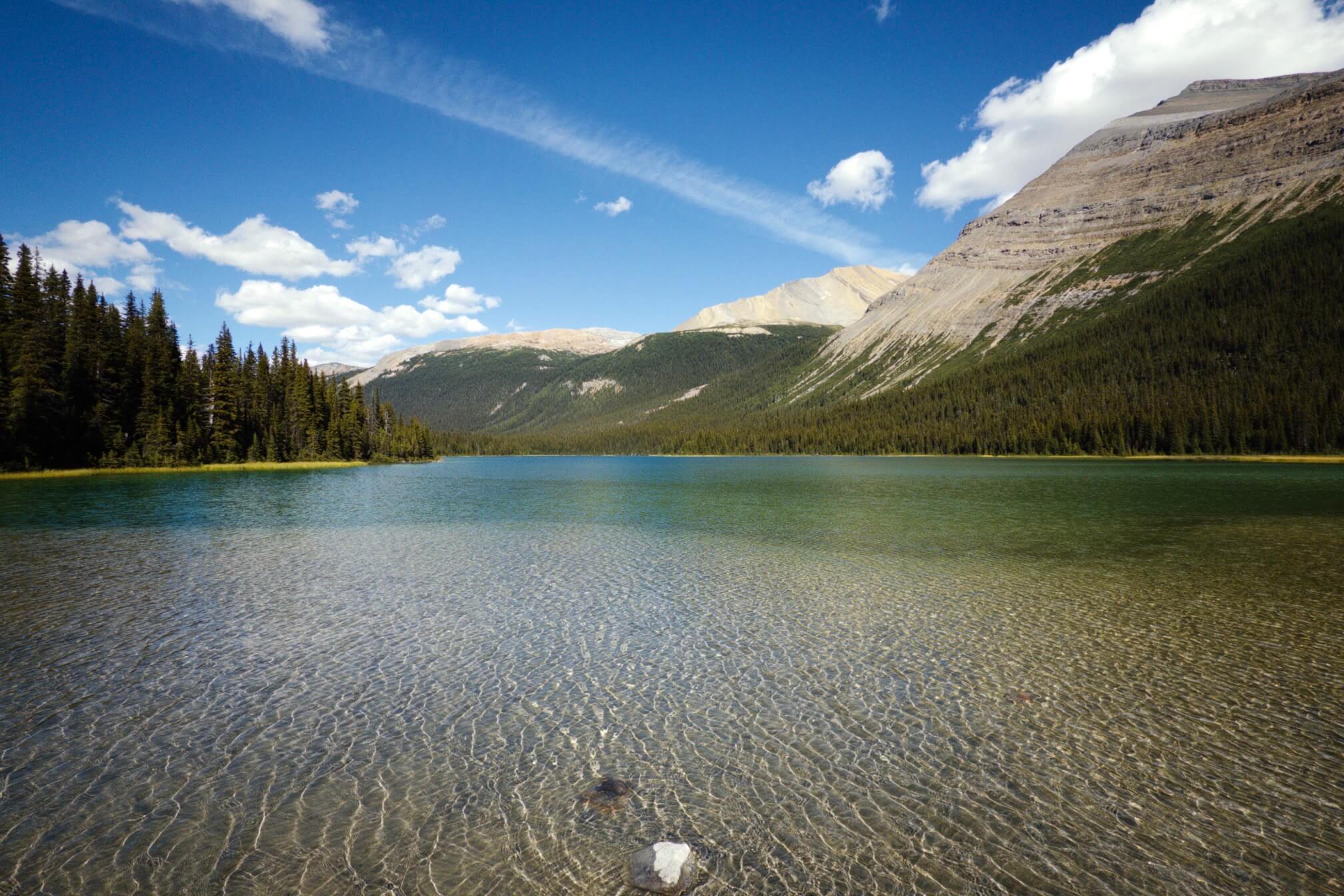 从营地再往里走两公里就是Aldophus Lake。这里已经是Alberta境内的Jasper国家公园了，手表也在这里自动换了时区。