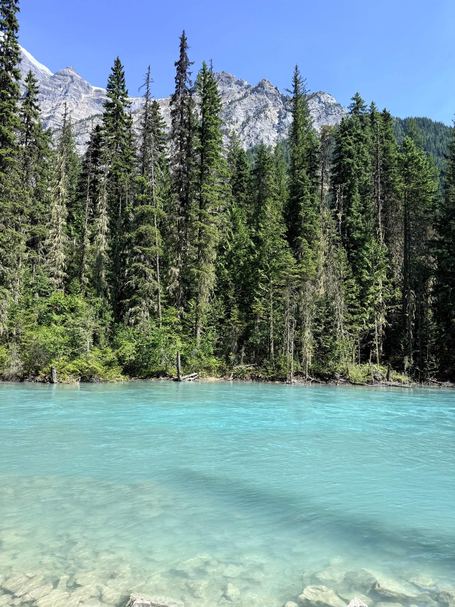 入口处附近Robson River的河水虽快但还算平缓。