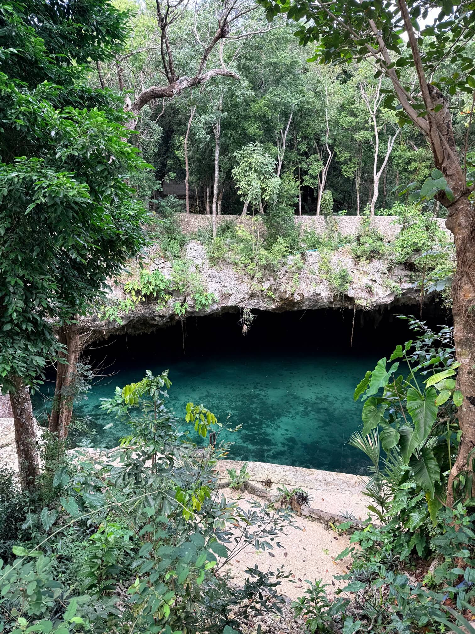 Cenote Puerta Maya