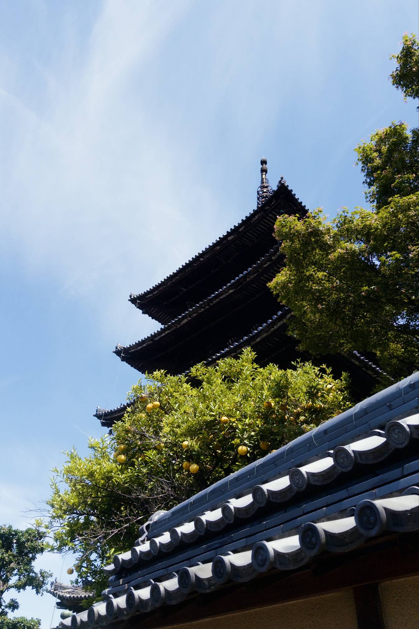 京都清水寺，恐怕是人最多的地方了。