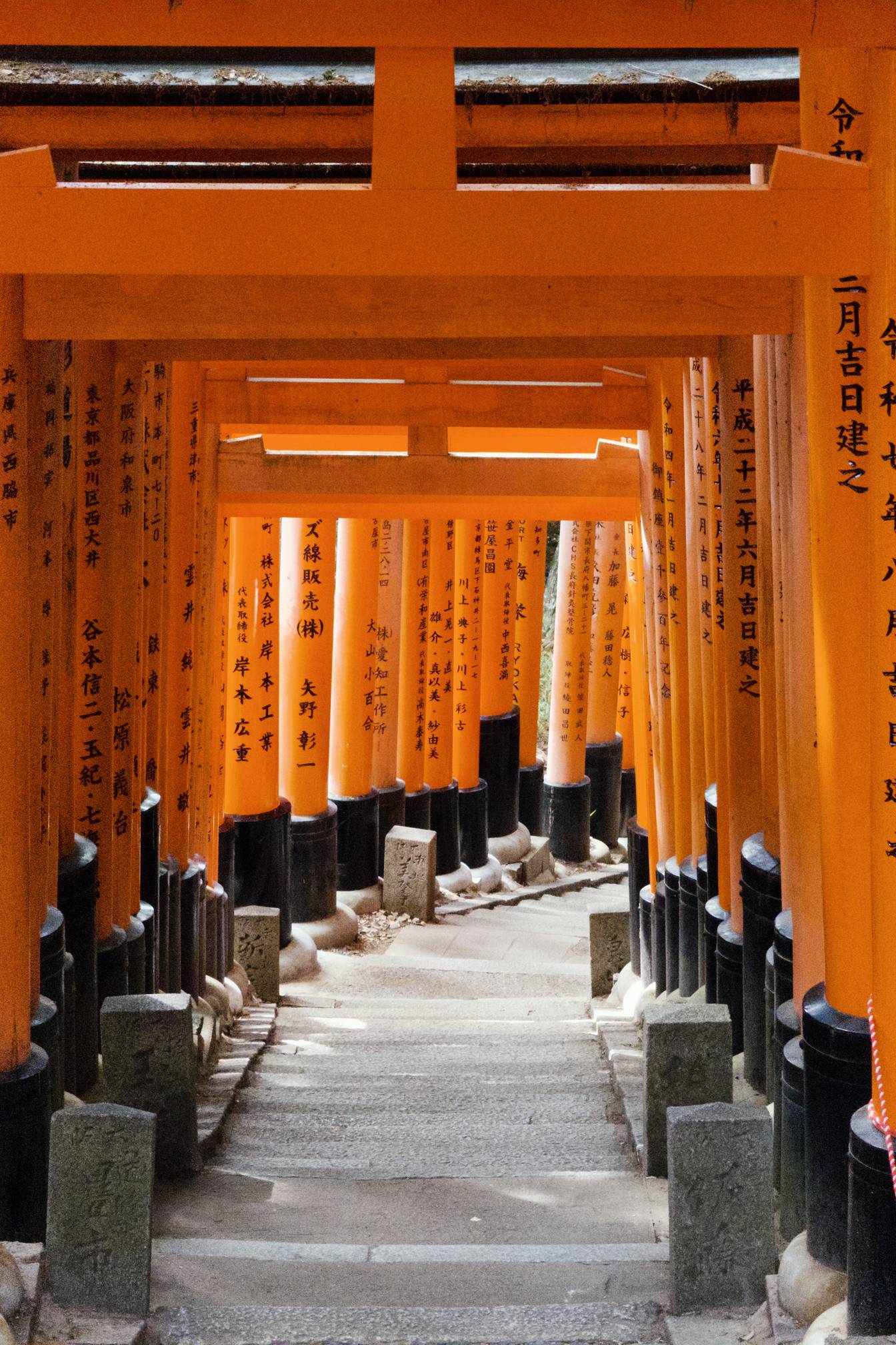 千本鸟居：我们从主社开始便走上了一条小路，最后绕到后山才上的山顶。山顶要安静很多，和山下游人如织的样子截然不同。这一趟其实不过海拔爬升180米，但已经挡住很多人的脚步了。