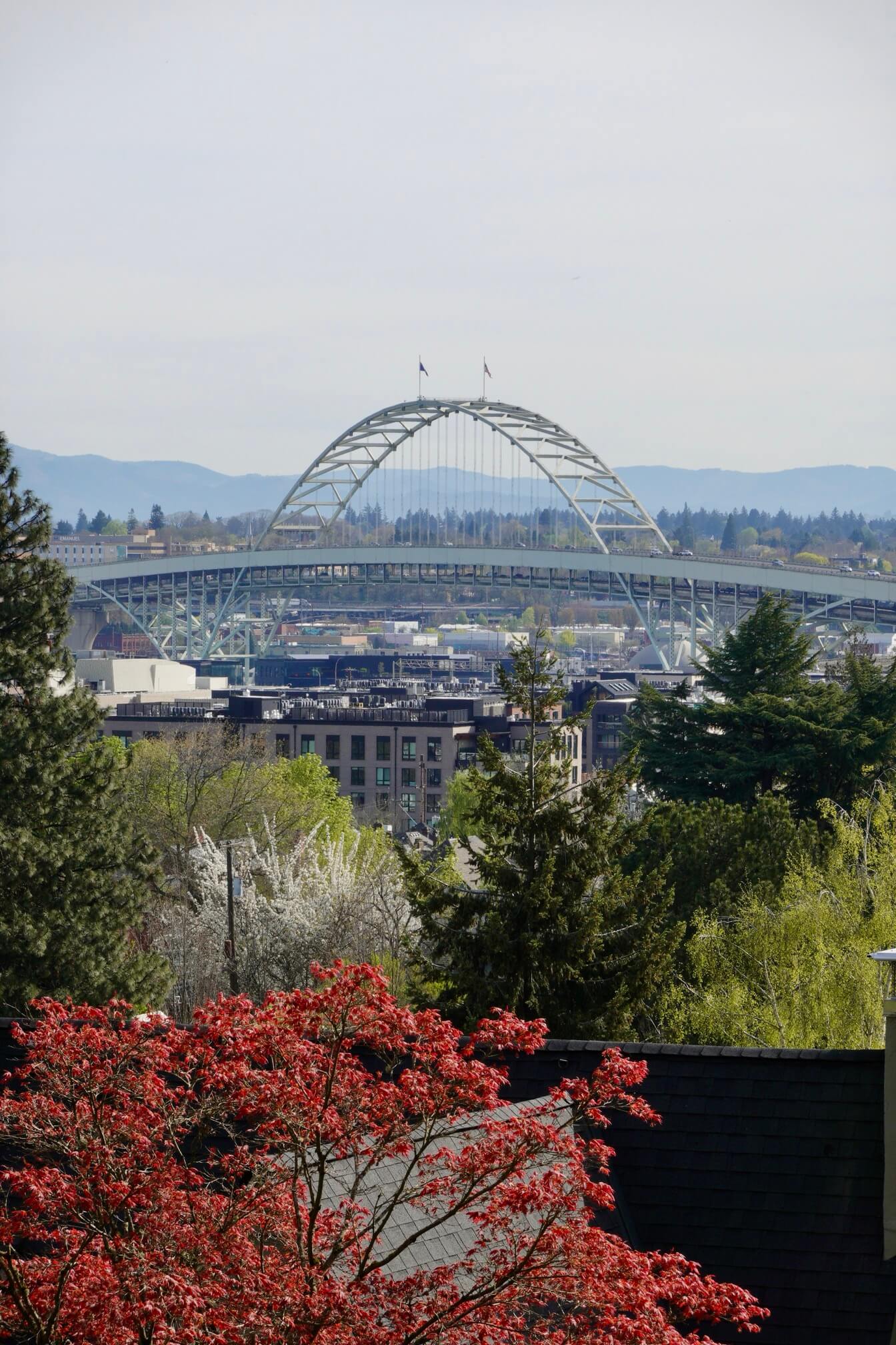 山上能看见市中心和 Fremont Bridge