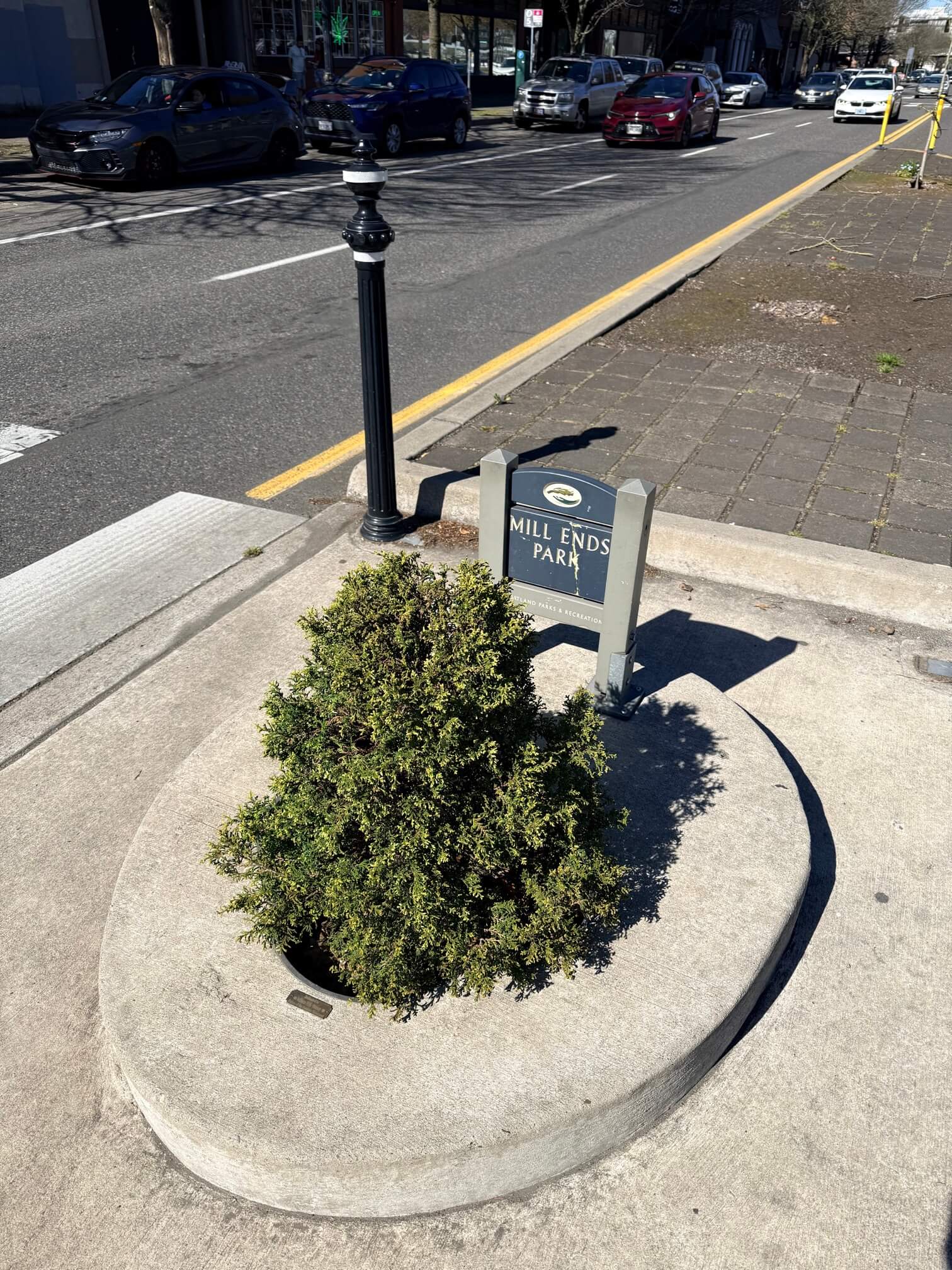 Mill Ends Park，吉尼斯世界纪录里最小的公园。