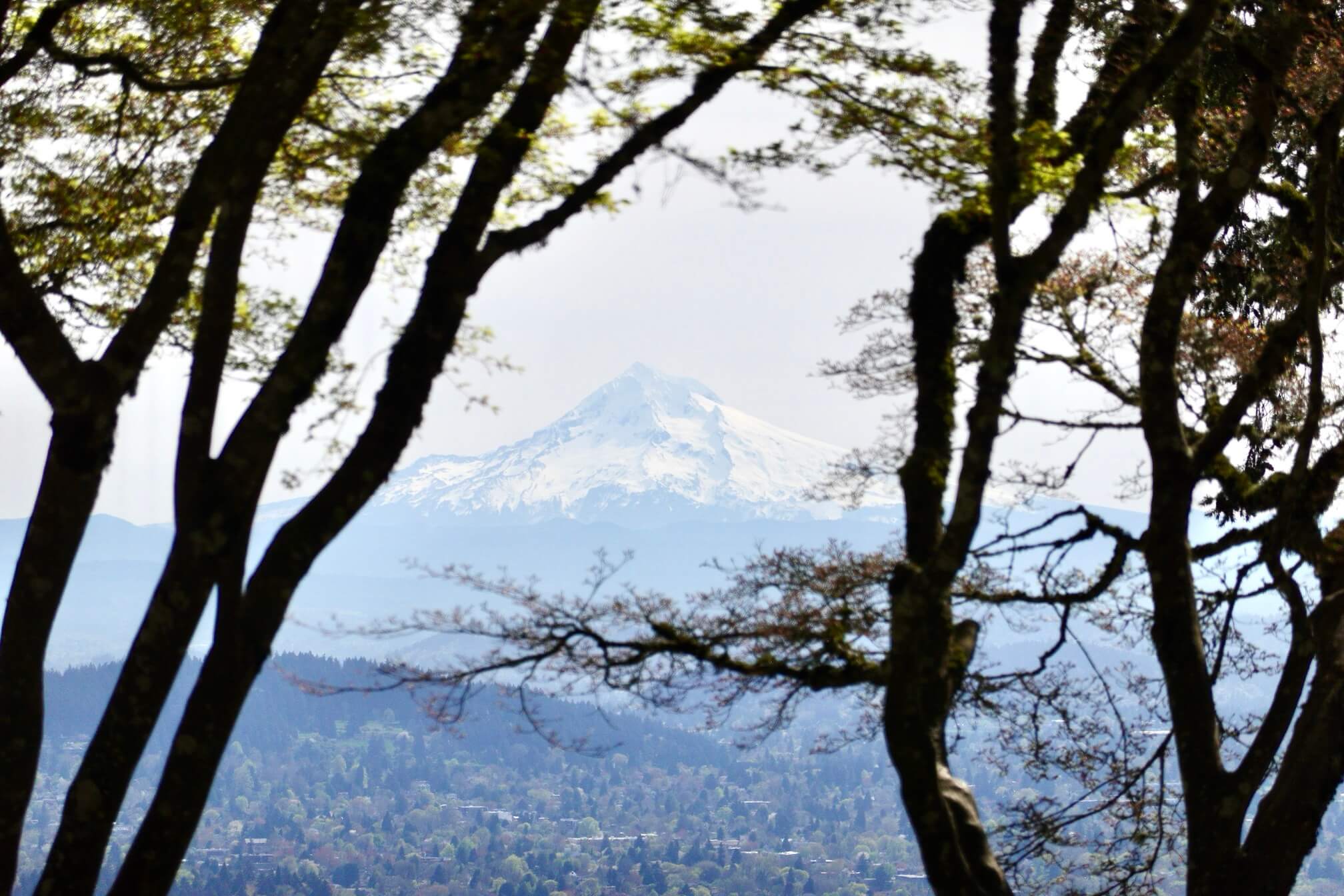 Pittock Mansion 可以看见 Mt Hood