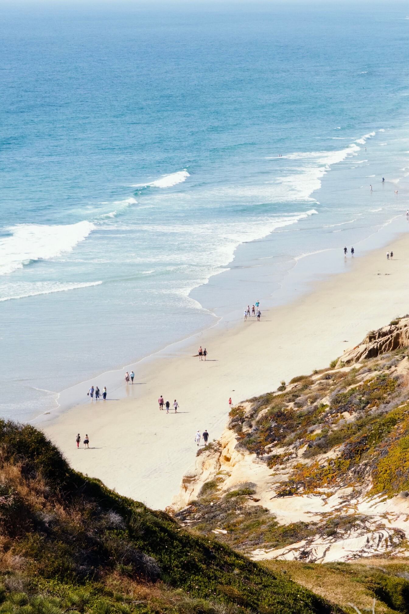 Torrey Pines